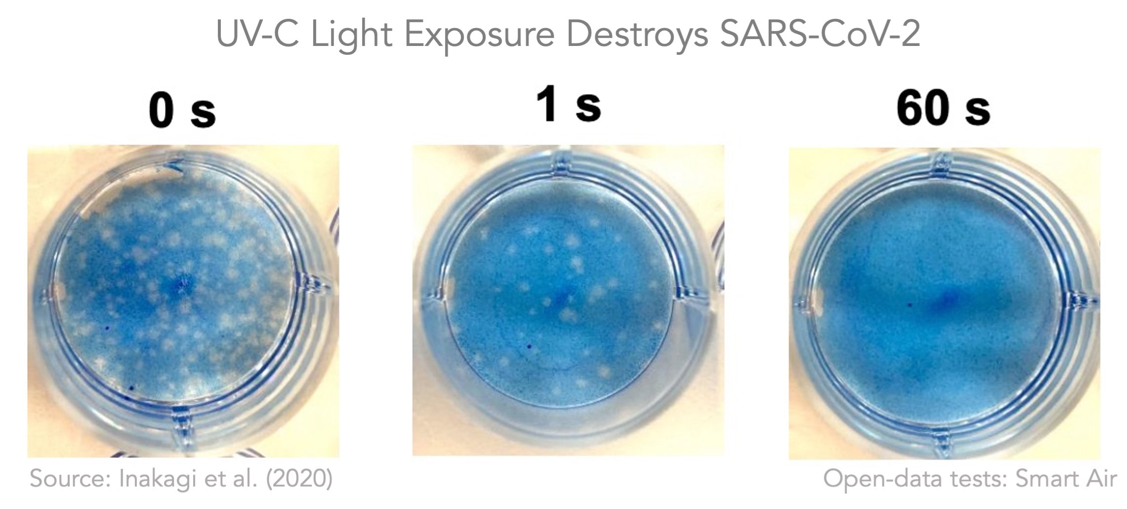 La luz ultravioleta inactiva el virus SARS-CoV-2