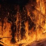 Tennessee Wildfires What Affected Residents Need to Know to Protect