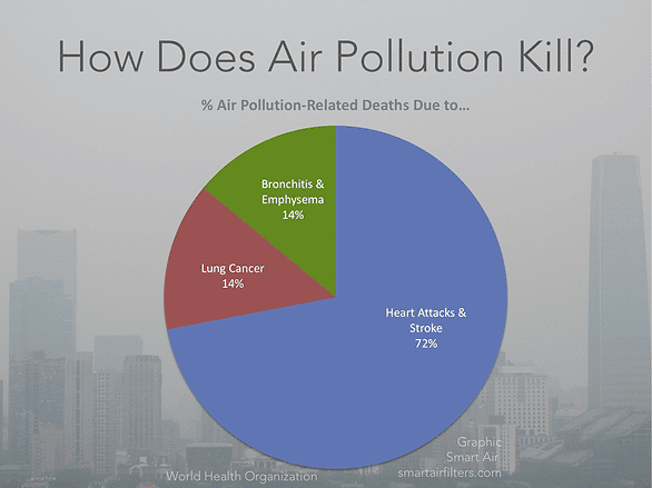 Air Pollution Death Causes WHO Heart Attack Lung Cancer